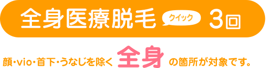 全身医療脱毛クイック 3回は、顔・VIO・首下・うなじを除く全身の箇所が対象です。