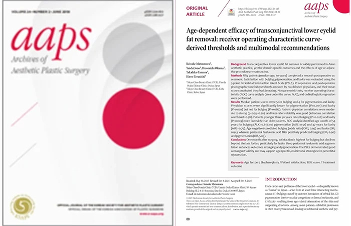 発表した論文の画像