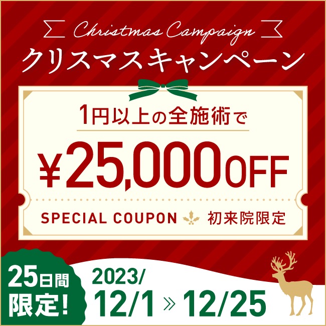 クリスマス 25,000円割引クーポン