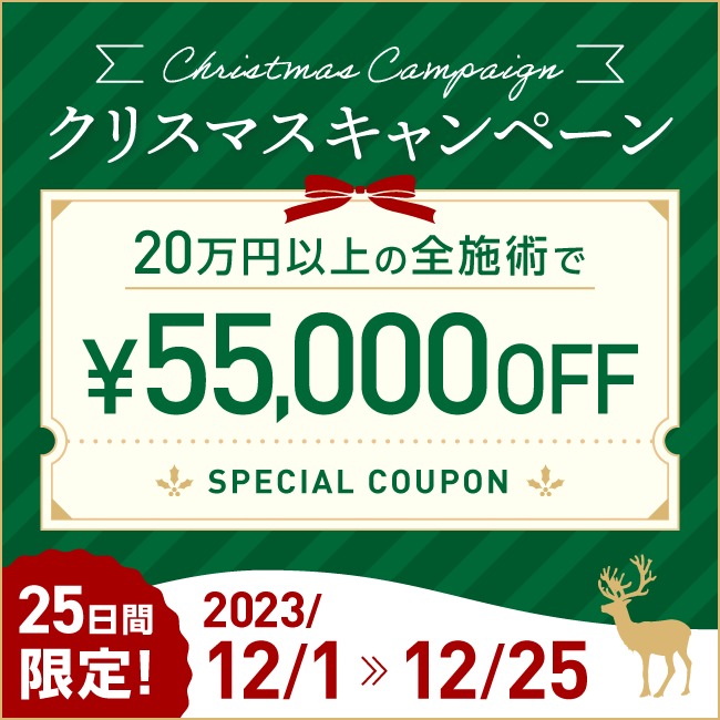 クリスマス 55,000円割引クーポン
