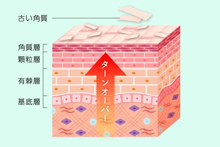 ピーリングとは