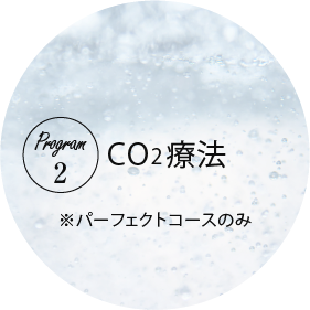 program2.CO2治療