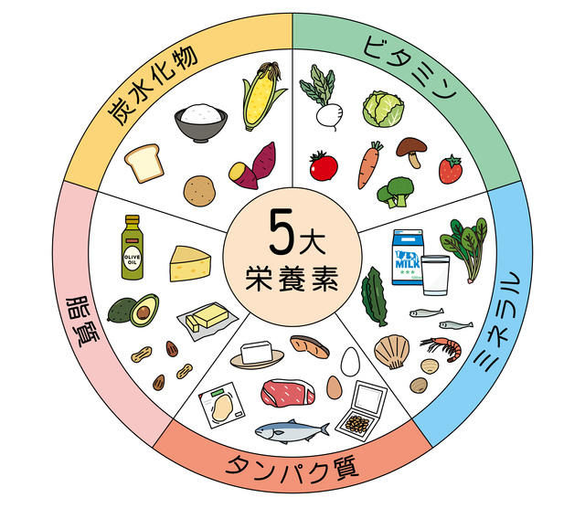 5大栄養素のイラスト