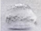 ピネハウルトラの粒子画像