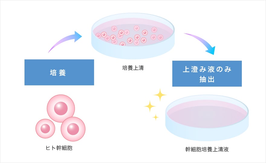 幹細胞培養上清液とは