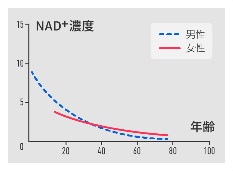加齢に伴って減少するNAD+濃度を表した図