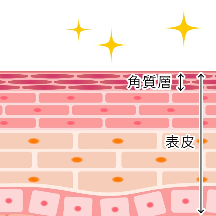 ケミカルピーリングの仕組み3
