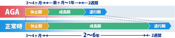 Aga治療 薄毛治療 美容整形なら東京中央美容外科 Tcb公式