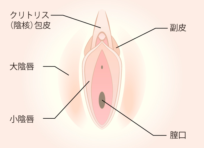 小陰唇縮小手術は 小陰唇 ビラビラ の肥大 黒ずみ 左右差を改善し美しく整えることができます 美容整形なら東京中央美容外科 Tcb公式