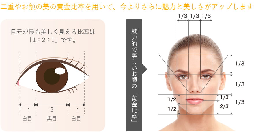 二重整形の各施術 費用 新宿 銀座 池袋の二重相談 美容整形なら東京中央美容外科 Tcb公式