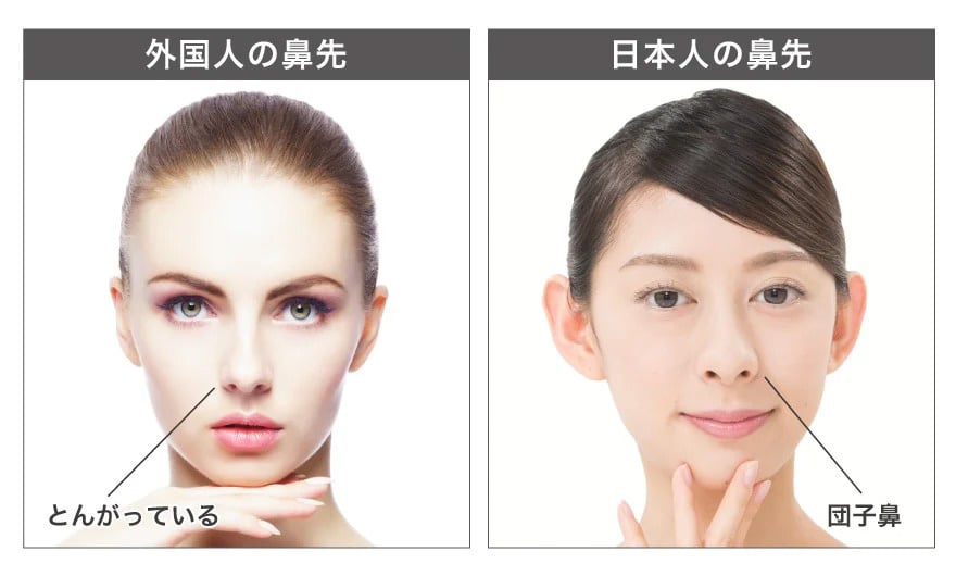外国人と日本人の鼻先の違い