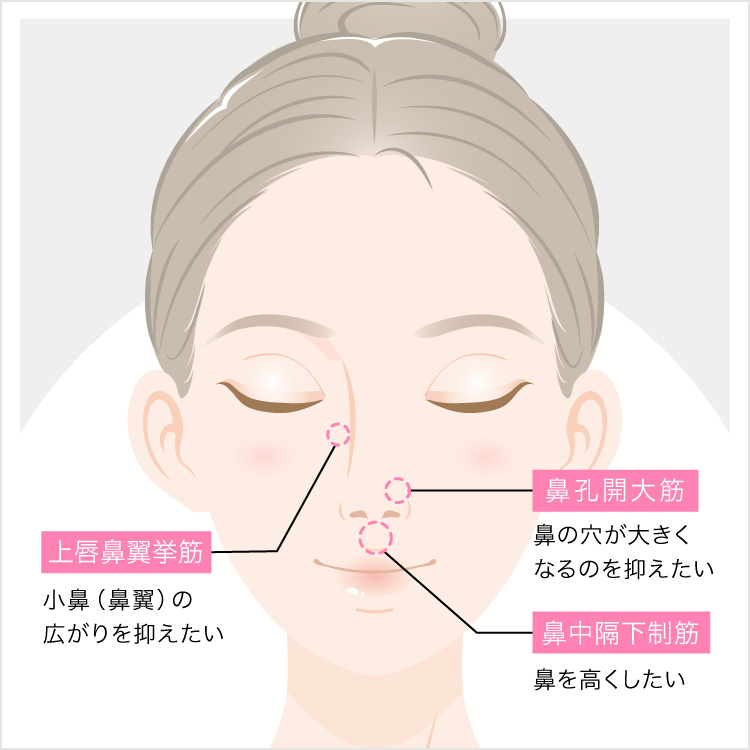 小鼻縮小ボトックス注射 安く手軽に出来る小鼻整形術 美容整形なら東京中央美容外科 Tcb公式