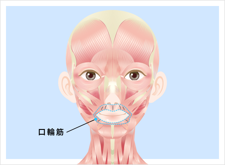 口元のシワ施術 ボトックス注射による効果と著効 美容整形なら東京中央美容外科 Tcb公式