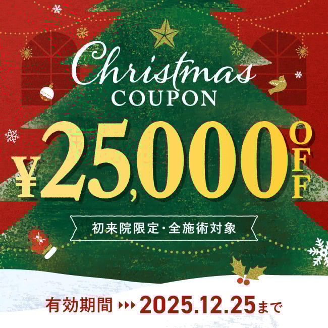 【先着限定】 クリスマスキャンペーン 25,000円OFFクーポン