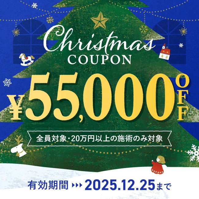【先着限定】 クリスマスキャンペーン 55,000円OFFクーポン