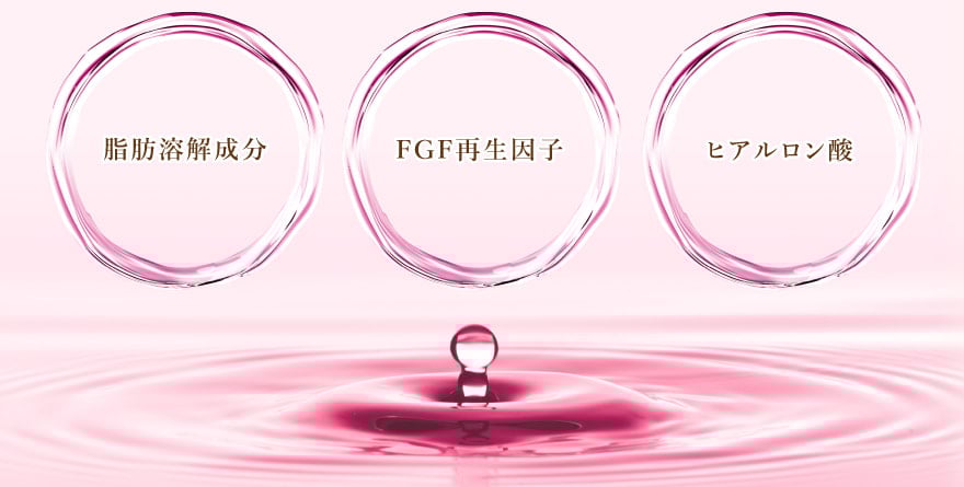 脂肪溶解成分・FGF再生因子・ヒアルロン酸