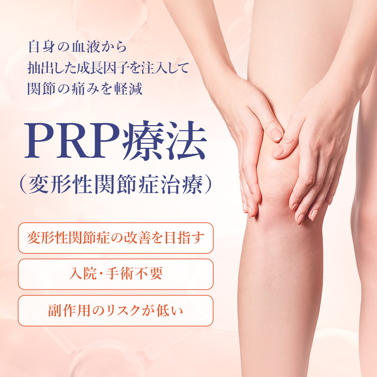 PRP療法（変形性関節症治療）