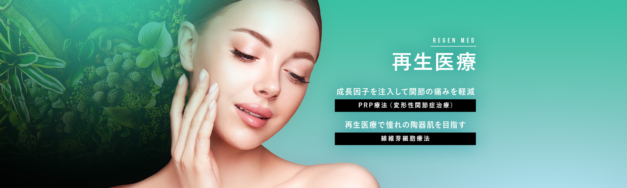 再生医療